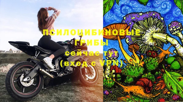spice Алзамай