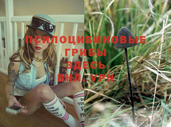 ешки Абдулино