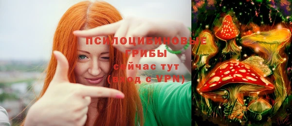 PSILOCYBIN Абинск