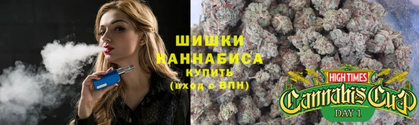 spice Алзамай