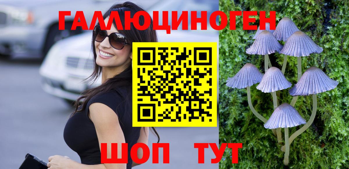 Тавда  Псилоцибиновые грибы MAGIC MUSHROOMS  Вход с VPN 