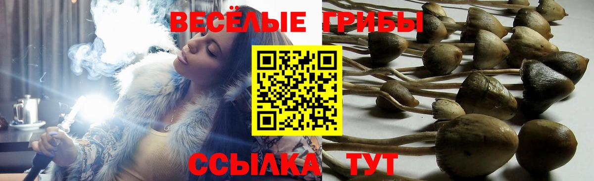 Псилоцибиновые грибы Magic Shrooms Тавда