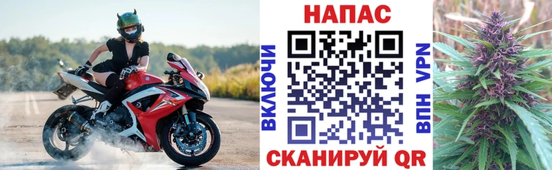Конопля Bruce Banner  Тавда 